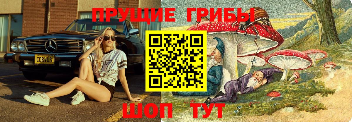 Псилоцибиновые грибы ЛСД  Вход с VPN  Сарапул 